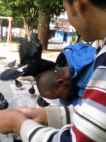 lhmam o 3ezedden 